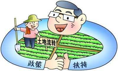义乌农村流转土地经营权抵押贷款顺利打通