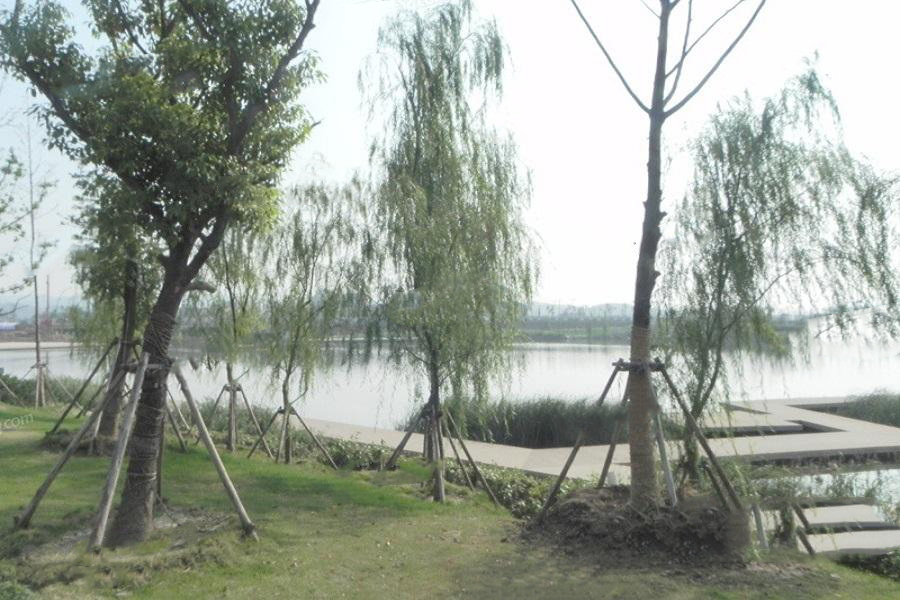 星叶欢乐城