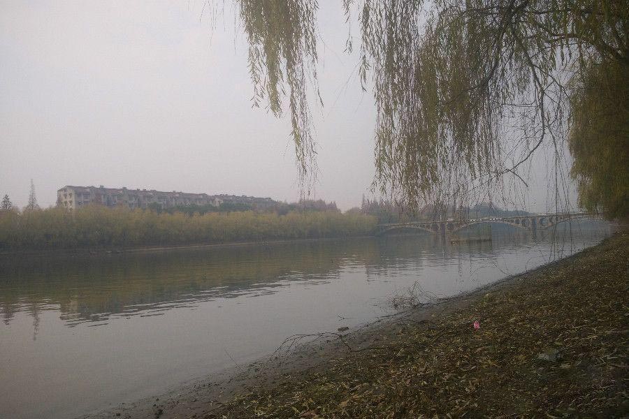 星叶欢乐城